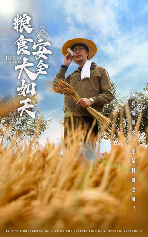 【粮食安全大如天】43集短剧免费全集赏