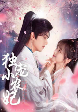 【独宠小农妃】63集短剧免费在线看全集版