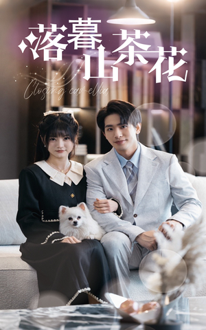 【落幕山茶花】50集精彩短剧全网播看