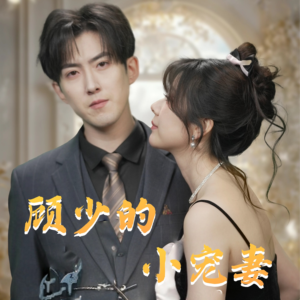 【顾少的小宠妻】90集高清短剧免费在线览