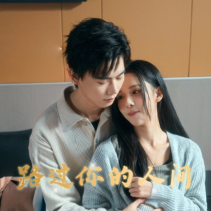 【路过你的人间】31集短剧在线免费畅看