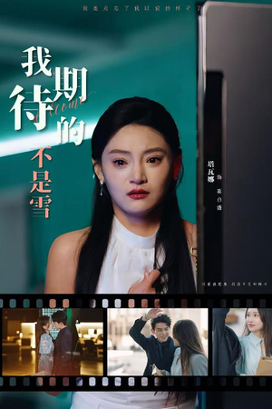 【我期待的不是雪】30集短剧免费在线赏视