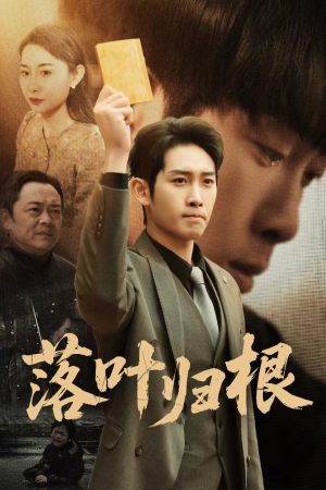 【落叶归根】35集在线短剧全集免费畅看