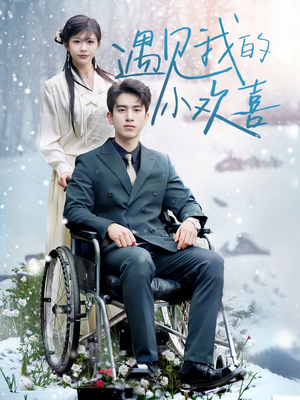 【遇见我的小欢喜】70集短剧免费全集线上阅