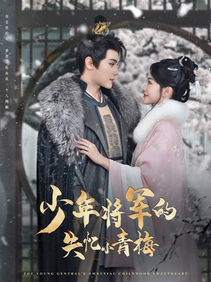 少年将军的失忆小青梅(100集) 少年将军的失忆小青梅(100集)越看越好看短剧