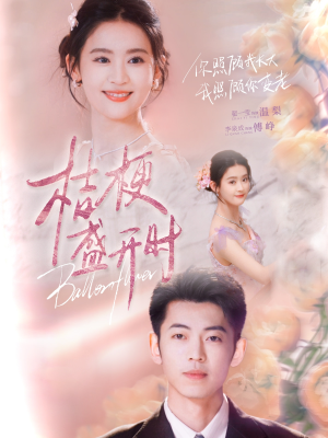 她的小桔梗(92集) 她的小桔梗(92集)UC网盘在线看