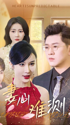 妻心难测(33集) 妻心难测(33集)爆款短剧推荐