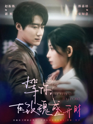 【等你在玫瑰盛开时】80集短剧免费完整看