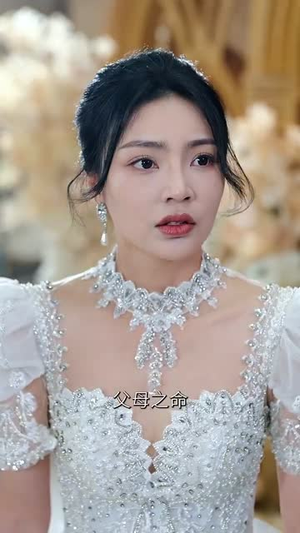 【错爱迷途真爱归处】短剧38集免费在线完整观