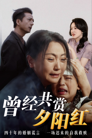 【曾经共赏夕阳红】30集高清短剧免费看全集