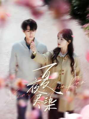 【夏夜尽染】80集短剧免费在线观享