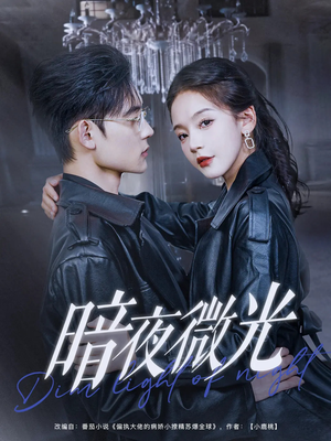 【暗夜微光】86集高清短剧在线观赏