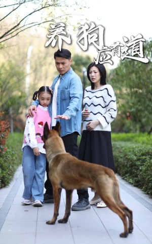 【养狗应有道】60集短剧在线免费畅看