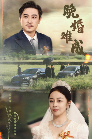 【晚婚难成】60集免费短剧全集直看