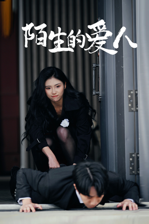 【陌生的爱人】60集在线看短剧全集免费