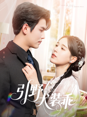 【引野犬装乖】61集短剧免费在线赏看