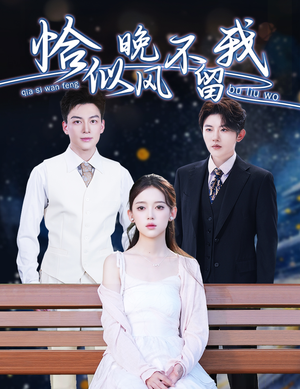 【恰似晚风不留我】51集全集短剧在线免费赏