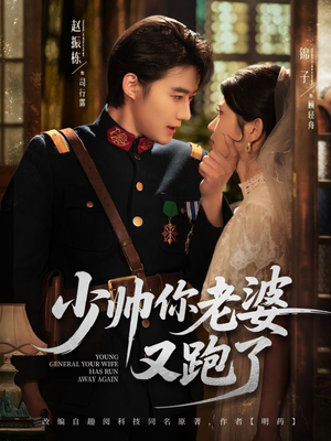 【少帅你老婆又跑了】82集免费短剧在线赏看