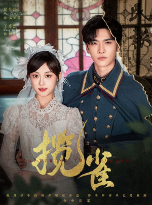 【揽雀】61集短剧在线高清观看