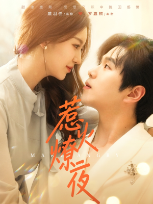 【惹火燎夜】74集短剧在线免费全集赏看