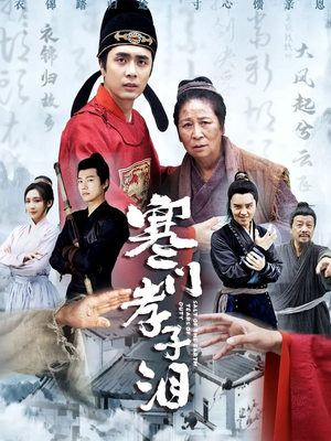 【寒门孝子泪】31集短剧免费在线赏看