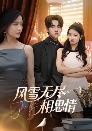 【风雪无尽相思情】61集短剧在线免费全集赏
