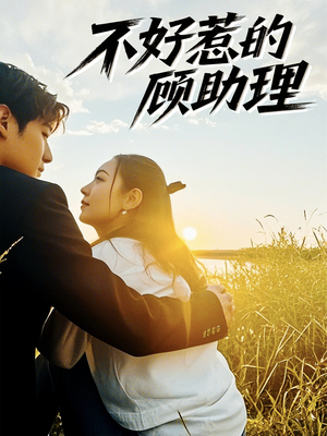 【不好惹的顾助理】67集在线免费短剧全集观