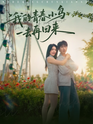 【我的青春小鸟一去再回来】95集短剧在线免费完整看