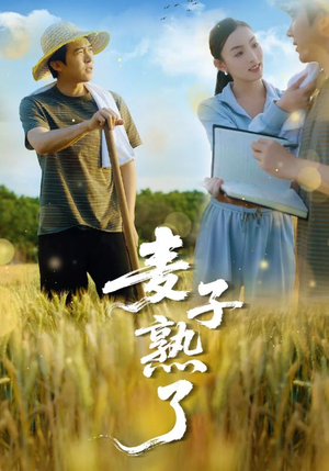 麦子熟了(52集) 麦子熟了(52集)女频短剧推荐