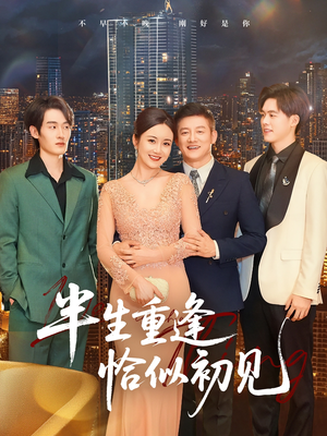 【半生重逢恰似初见】90集在线免费短剧完整观看