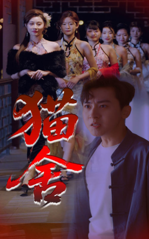 【猫舍】34集在线短剧免费全集畅享