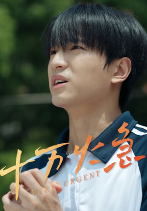 【十万火急】30集短剧免费在线观享