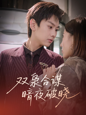 【双枭合谋暗夜破晓】30集短剧完整版在线播放