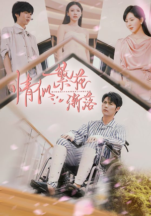 【情似繁花渐落】62集短剧在线免费观看