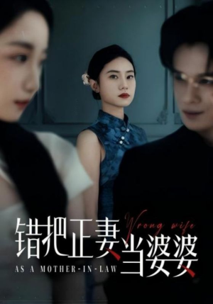 【错把正妻当婆婆】46集免费在线短剧完整观