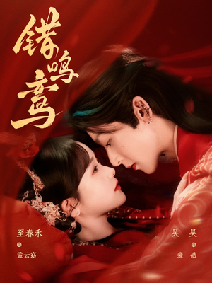 【错鸣鸾】75集短剧全集在线免费观影