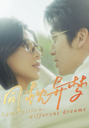 【同枕异梦】50集短剧免费在线完整赏