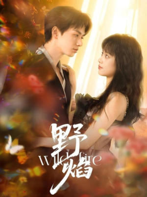 【野焰】60集全集短剧在线免费播放