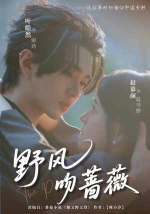 【野风吻蔷薇】78集短剧免费全集赏视