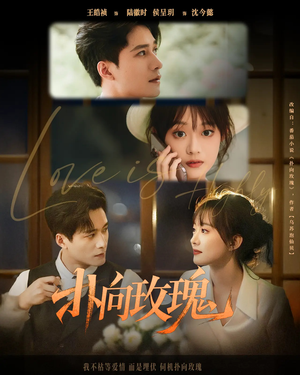 【扑向玫瑰】77集短剧免费全集在线赏