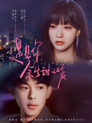 【遇见你余生甜又暖】70集在线看短剧全集无阻