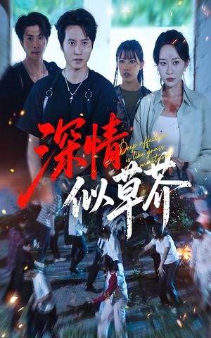 【深情似草芥】51集在线短剧免费畅看