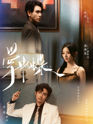 【掌中蝶】84集短剧完整版在线观