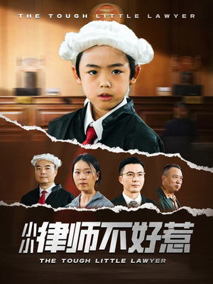 【小小律师不好惹】82集免费短剧在线赏播