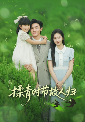 【揉青时节故人归】60集在线免费短剧高清看