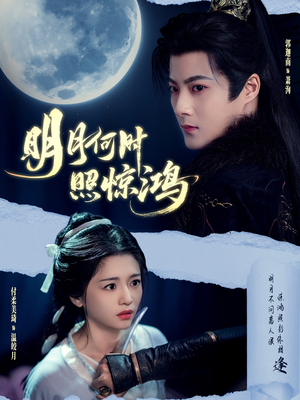 【明月何时照惊鸿】80集短剧免费全集速看