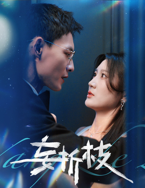 【妄折枝】53集短剧免费全集尽情看