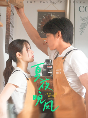 【夏夜晚风】12集短剧全集流畅在线观看