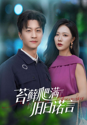 【苔藓爬满旧日诺言】83集短剧全集高清在线观