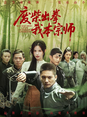 【废柴出拳我本宗师】61集短剧免费高清在线看